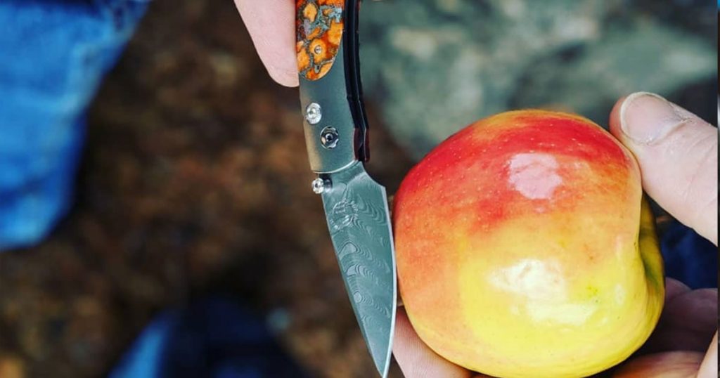 https://www.williamhenry.com/wp/wp-content/uploads/2021/06/cutting-apple-with-knife-1024x538.jpg