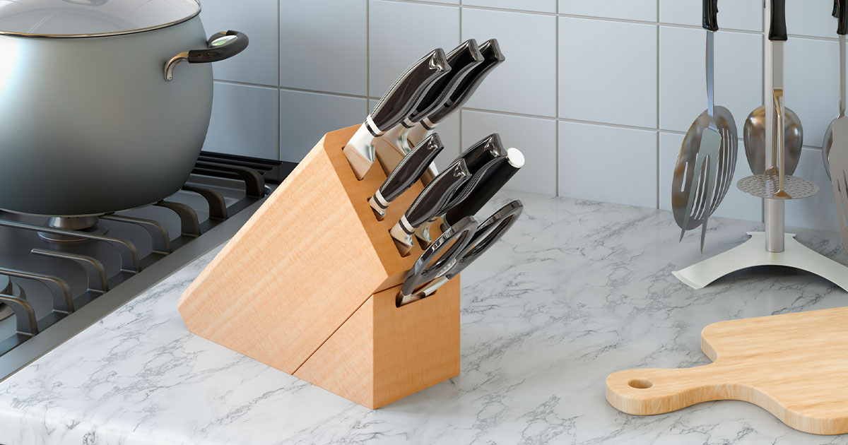 11 Piece Cutlery Set Knife Block|Gunter Wilhelm